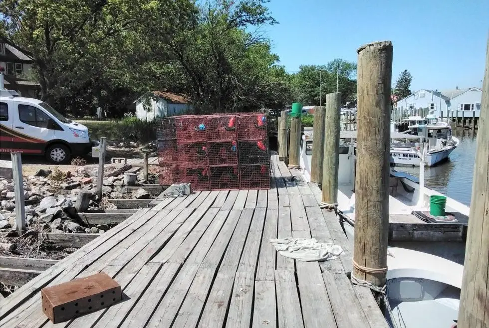 Crab Docks | Leipsic River | Delaware