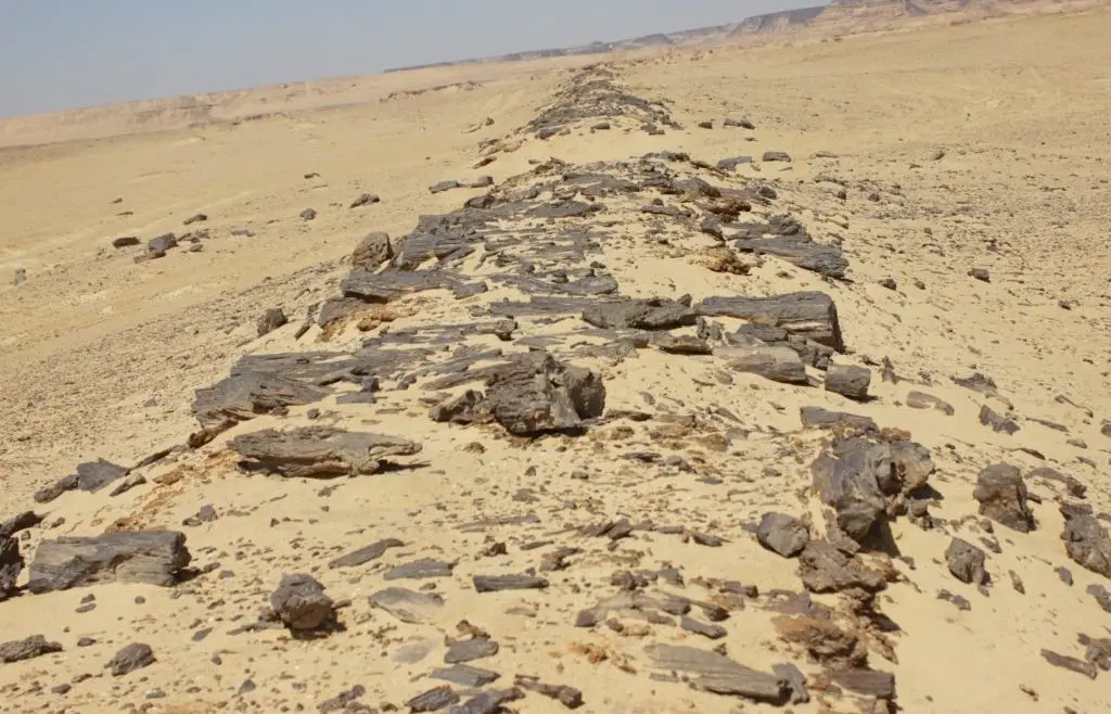 Fast Fact: Oldest Known Pavement