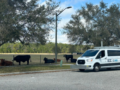 2 Truths about this image