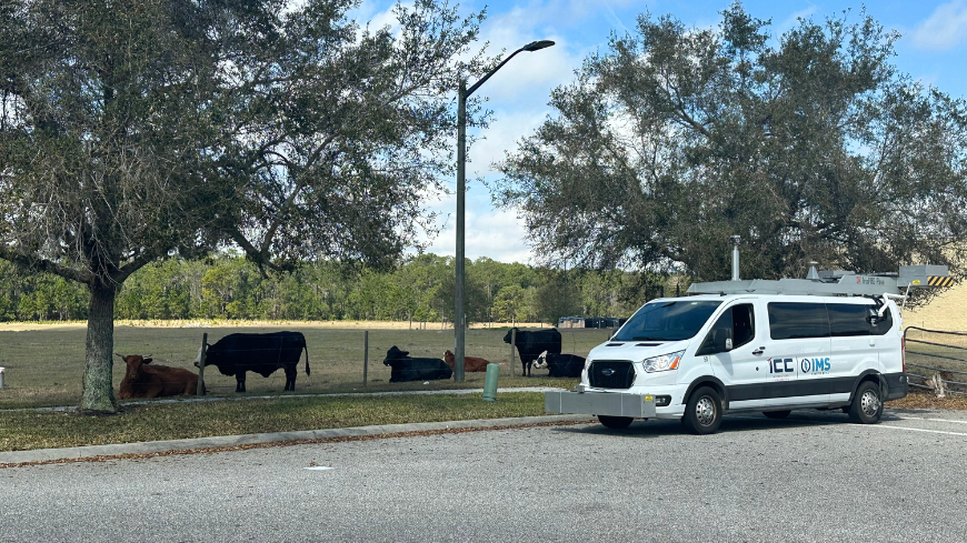 2 Truths about this image